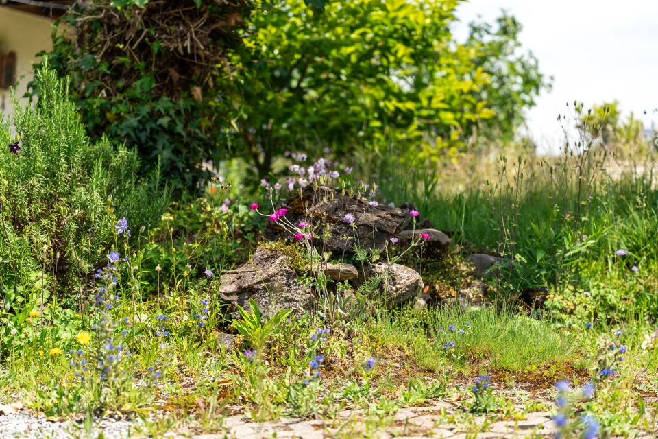 Naturnaher Gartenbau Bern