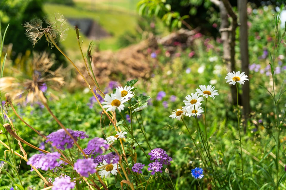 Naturnaher Gartenbau Bern