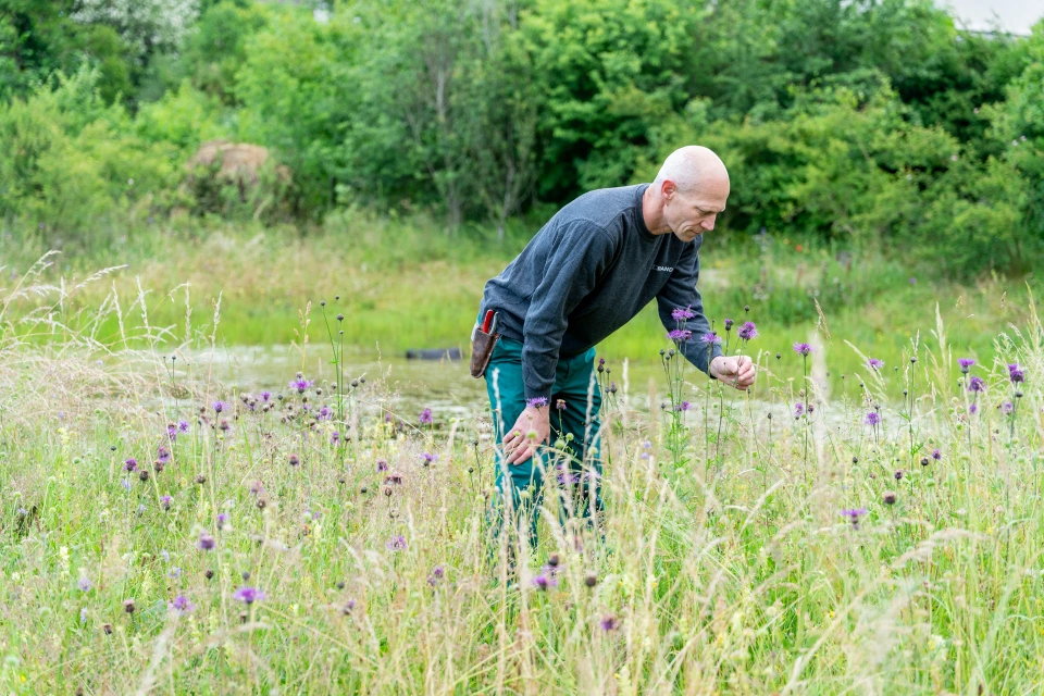 Naturnahe Gartenpflege in Bern